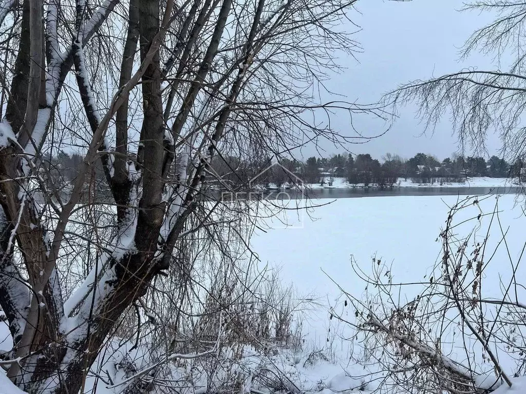 Участок в Новосибирская область, Новосибирский район, Кудряшовский дп ... - Фото 0