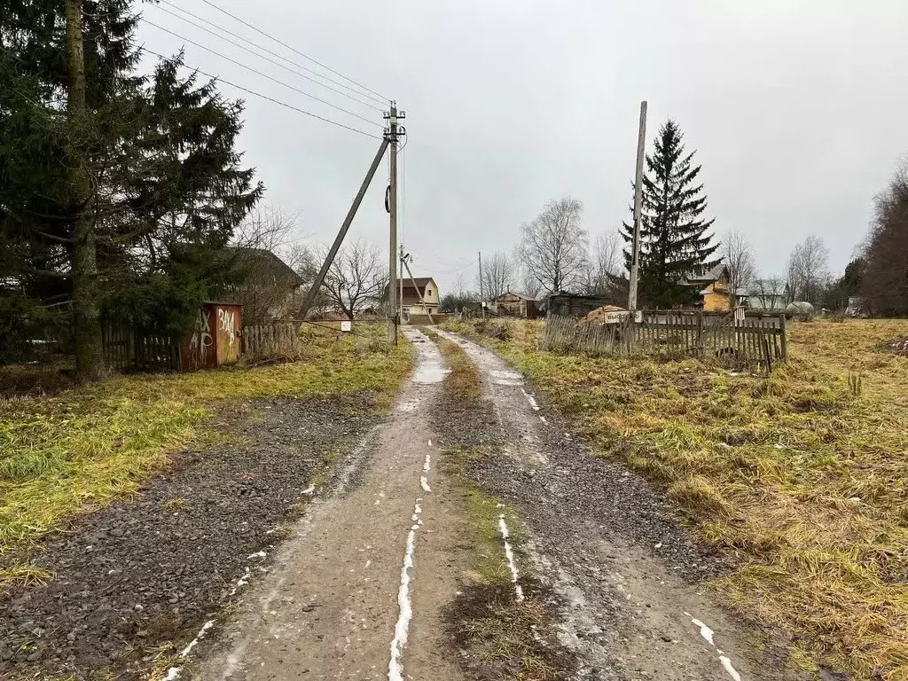 Участок в Вологодская область, д. Высоково  (8.0 сот.) - Фото 2
