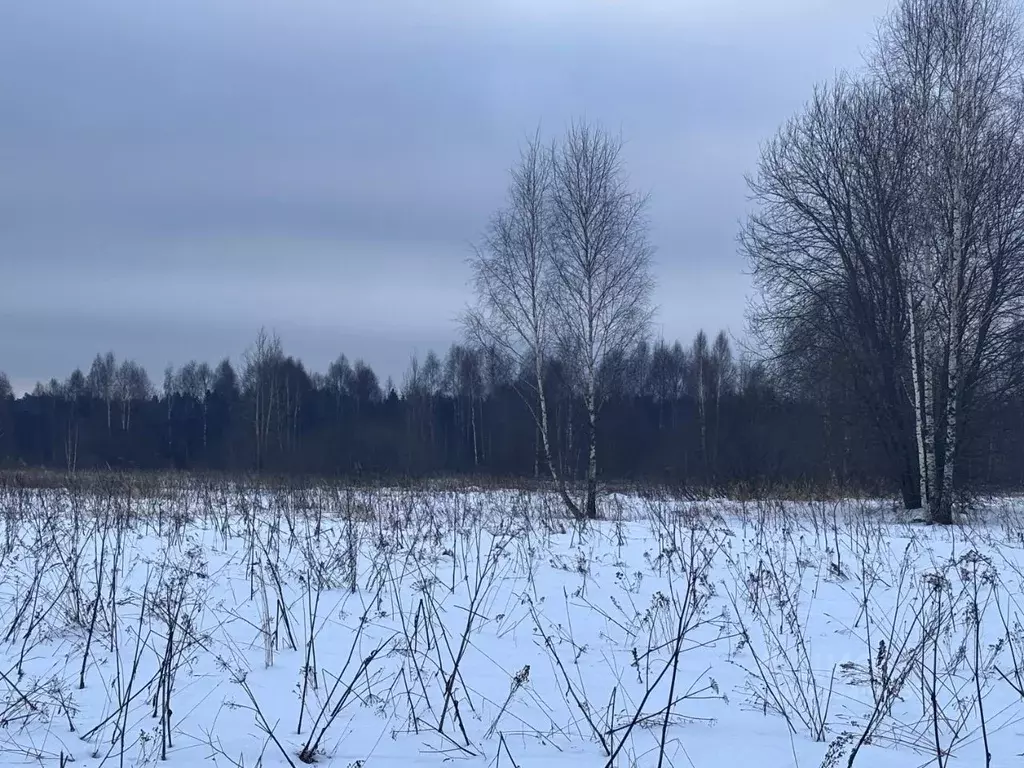 Участок в Московская область, Клин городской округ, д. Орлово ул. ... - Фото 1