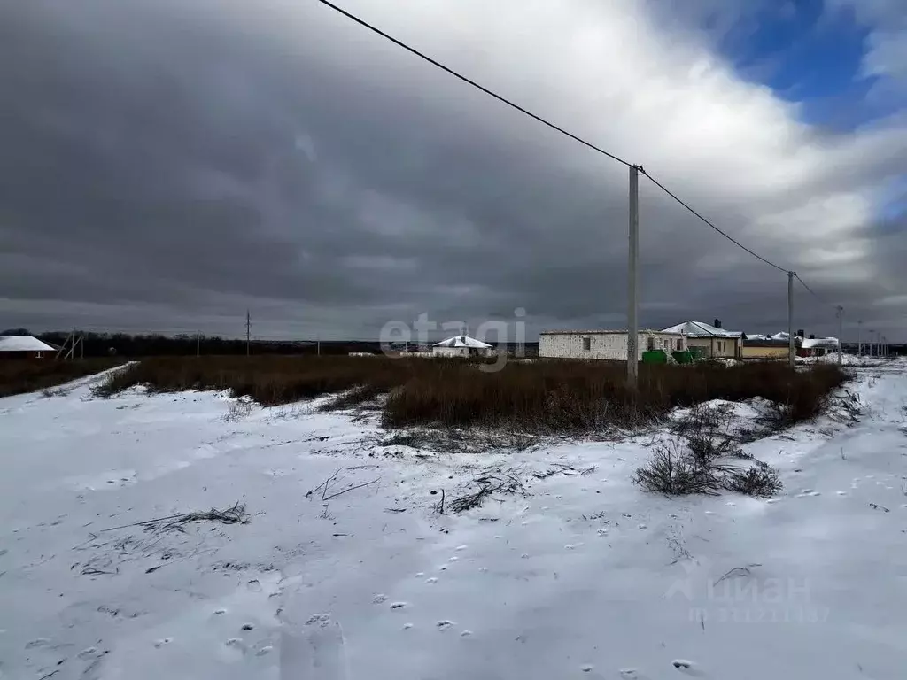 Участок в Белгородская область, Белгородский район, с. Стрелецкое ул. ... - Фото 1