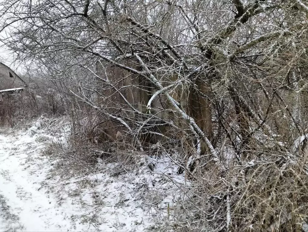 Участок в Смоленская область, Смоленский муниципальный округ, Медик ... - Фото 1