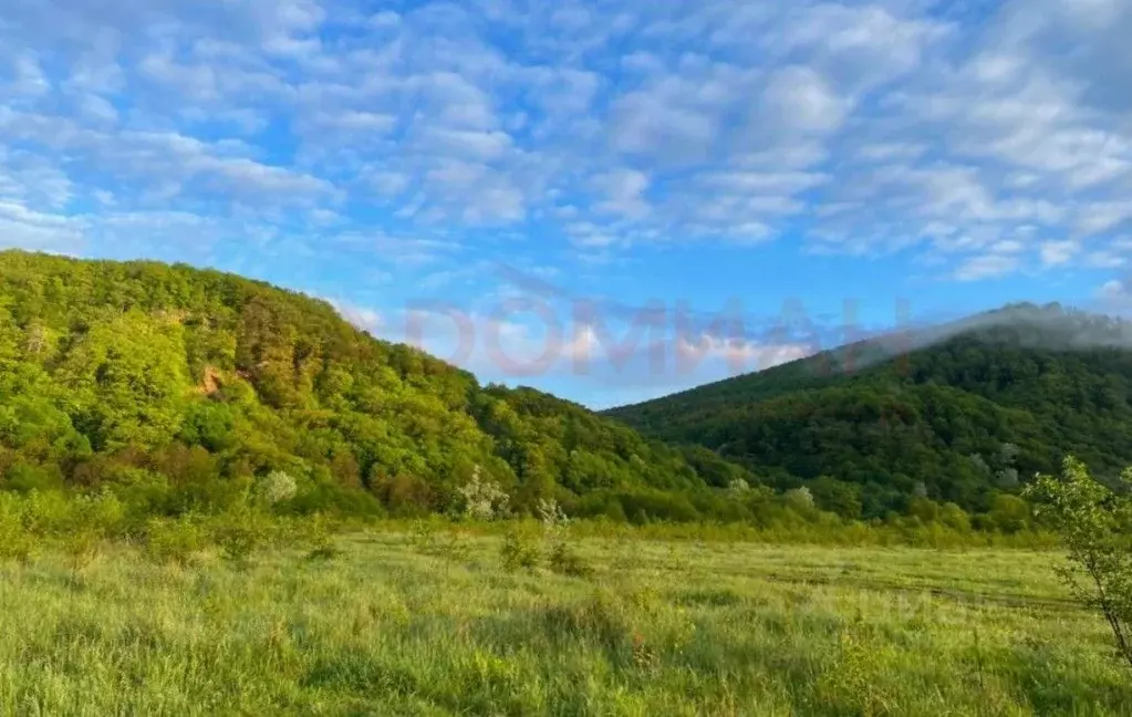 Участок в Адыгея, Майкопский район, Даховская ст-ца  (20.0 сот.) - Фото 1