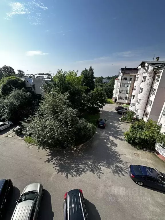 2-к кв. Новгородская область, Великий Новгород Район Торговая сторона, ... - Фото 2