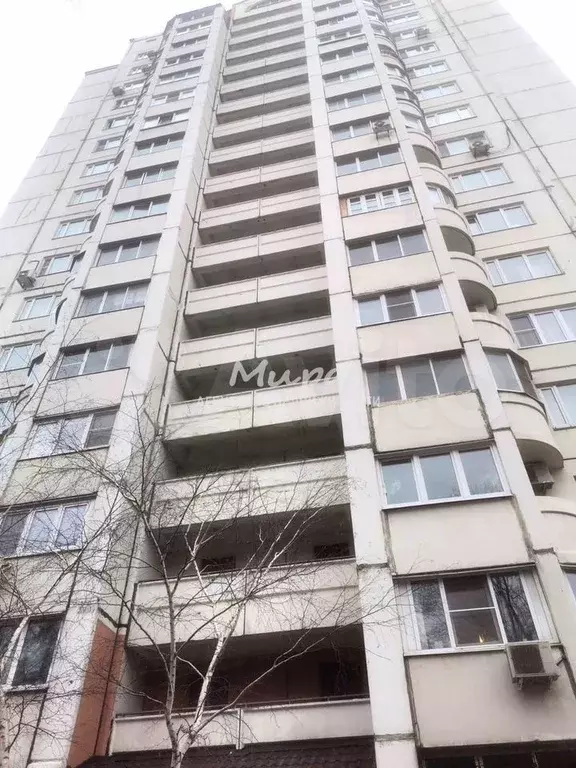 1-к. квартира, 55 м, 1/17 эт. - Фото 0