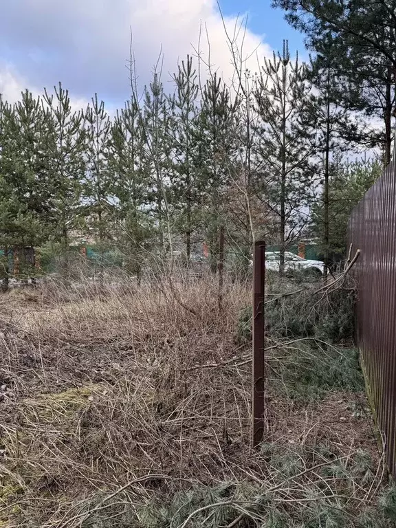 Участок 21 сот. (ИЖС) - Фото 1
