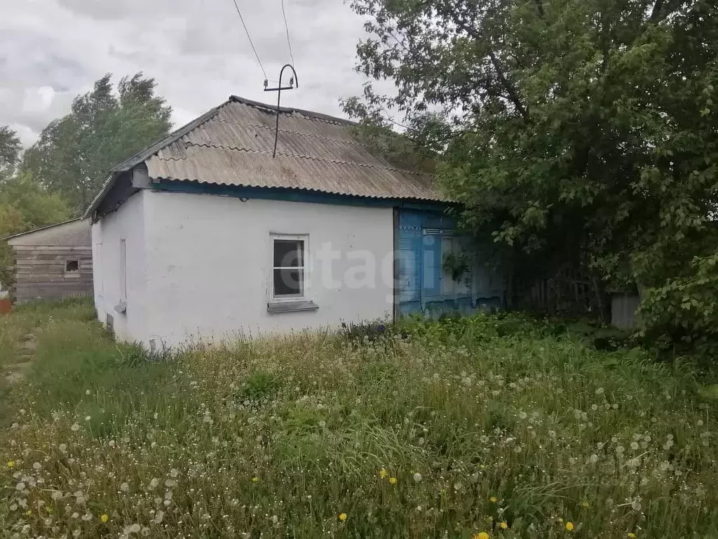 Участок в Новосибирская область, Искитим ул. Авроры, 16 (6.0 сот.) - Фото 0