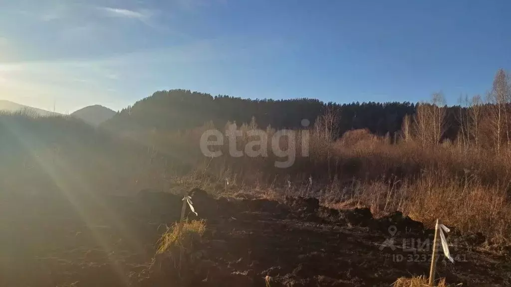 Участок в Алтай, Майминский район, с. Кызыл-Озек  (19.01 сот.) - Фото 1
