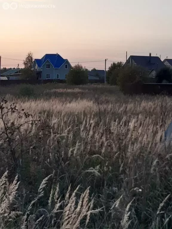 Участок в Московская область, муниципальный округ Чехов, деревня ... - Фото 1