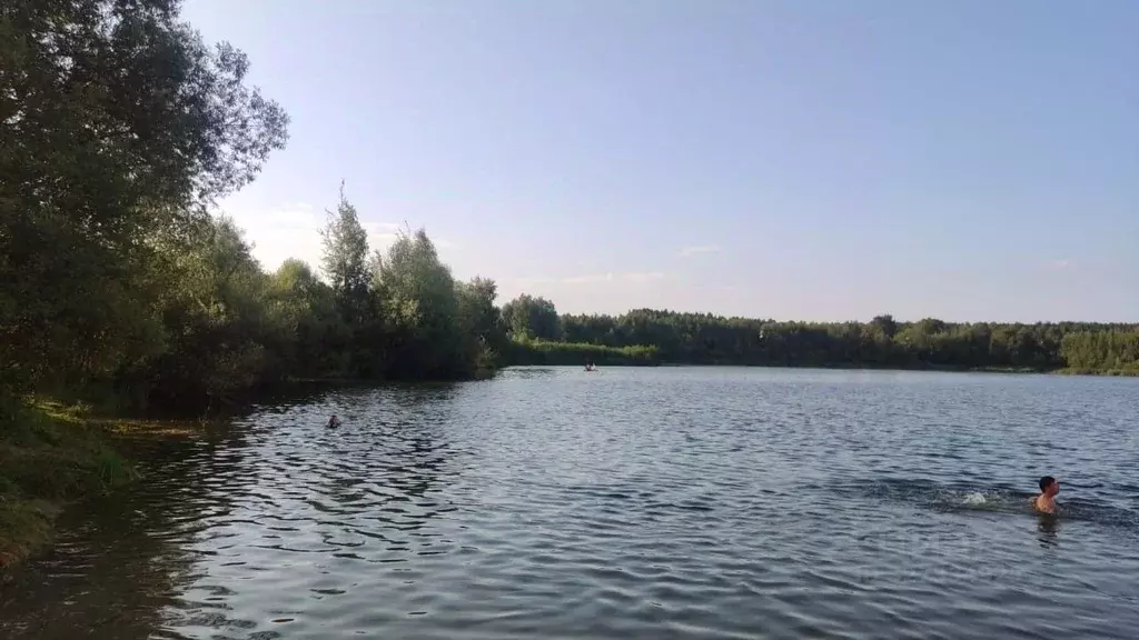 Дом в Московская область, Богородский городской округ, д. Стулово  (76 ... - Фото 1