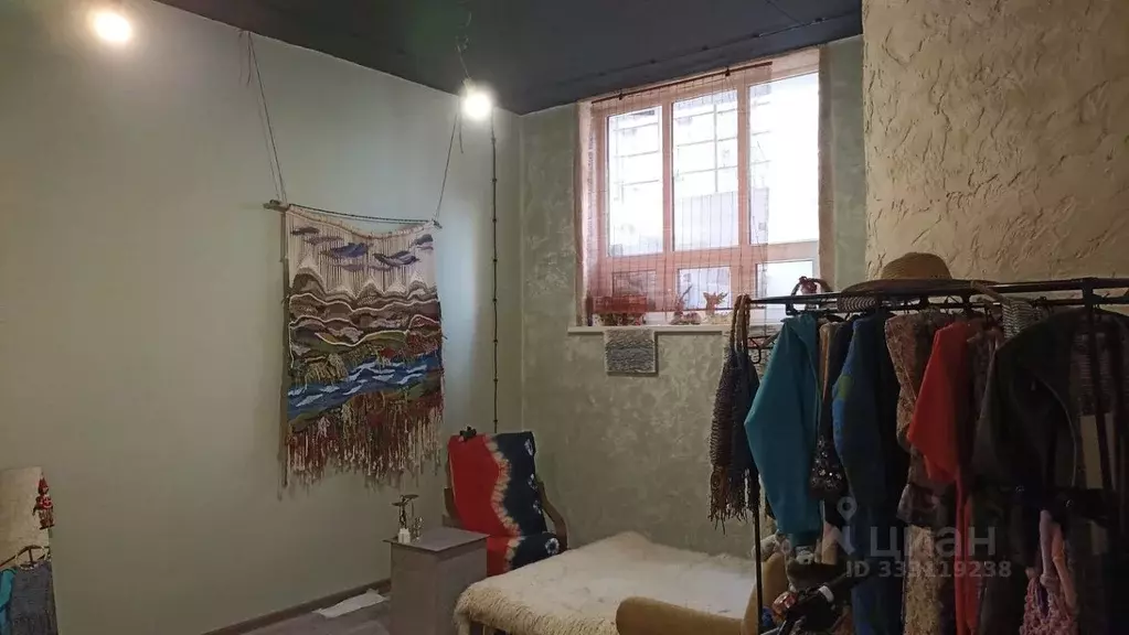 Помещение свободного назначения в Краснодарский край, Анапа ул. ... - Фото 2