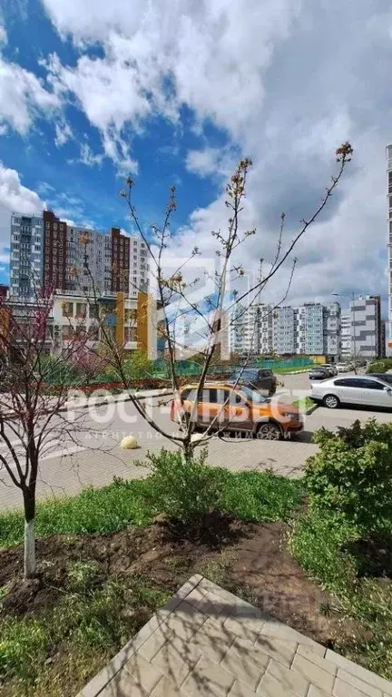 Студия Ростовская область, Ростов-на-Дону ул. Еременко, 108с2 (26.0 м) - Фото 2