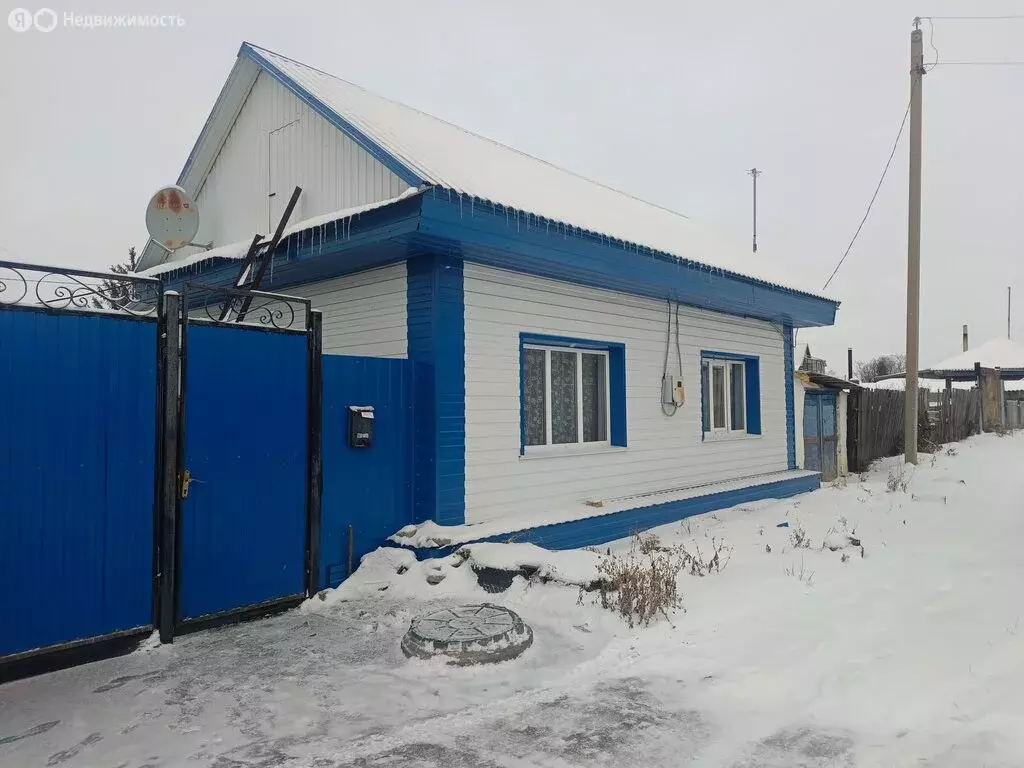 Дом в Большеречье, улица Радищева, 22 (46.2 м) - Фото 1