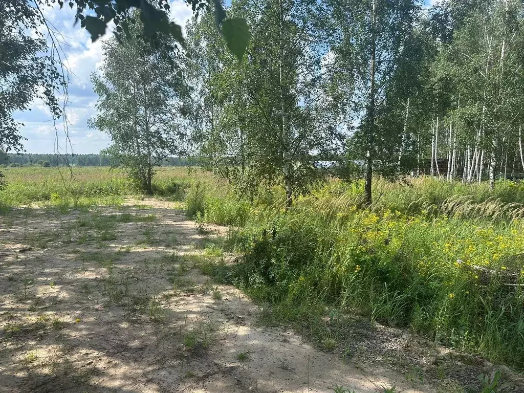 Участок в Московская область, Богородский городской округ, имени ... - Фото 0