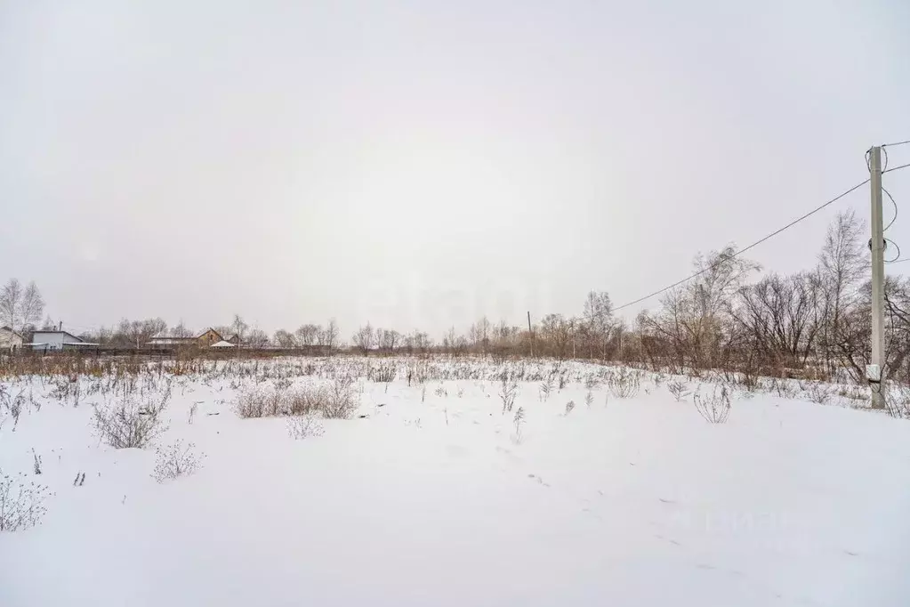 Участок в Хабаровский край, Хабаровский район, с. Мирное, Водолей ДНТ ... - Фото 1