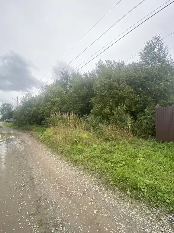 Участок в Пермский край, Пермь пос. Голованово, ул. Набережная (12.0 ... - Фото 1