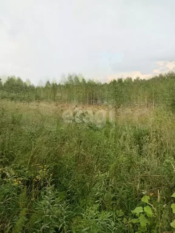 Участок 16,1 сот. (ИЖС) - Фото 0
