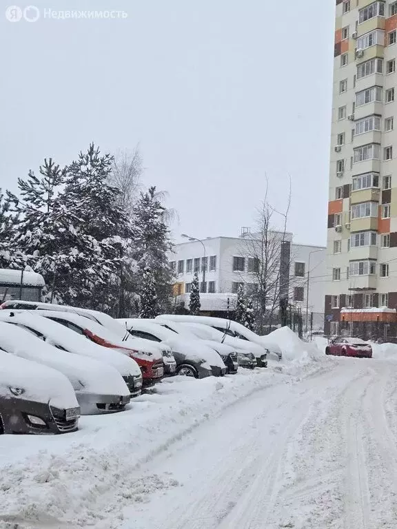 1-комнатная квартира: Видное, бульвар Зелёные Аллеи, 18 (32.1 м) - Фото 2