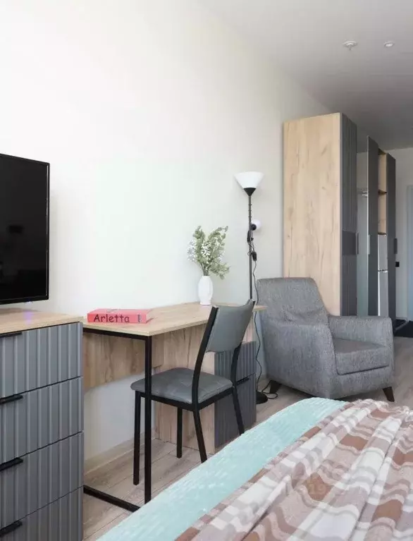 Студия Санкт-Петербург просп. Энергетиков, 8к2 (27.0 м) - Фото 1