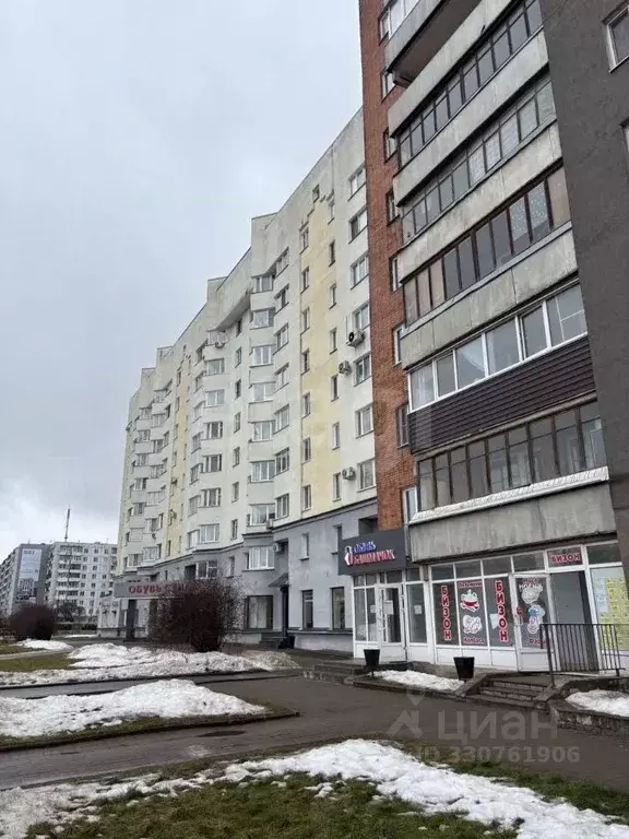 Торговая площадь в Псковская область, Псков Рижский просп., 51 (56 м) - Фото 2