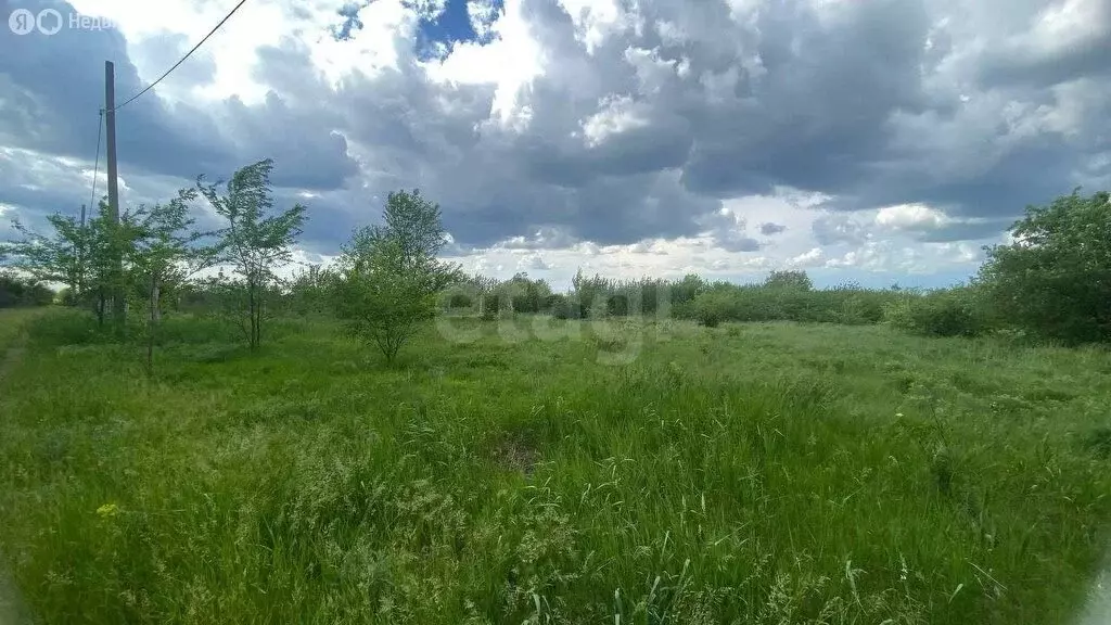 Участок в Кировское сельское поселение, садоводческое товарищество ... - Фото 1