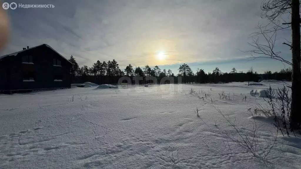 Участок в Ленинградская область, Гатчинский муниципальный округ, ... - Фото 2