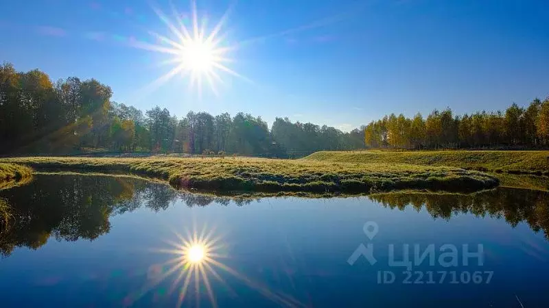 Участок в Тульская область, Заокский район, Демидовское муниципальное ... - Фото 1