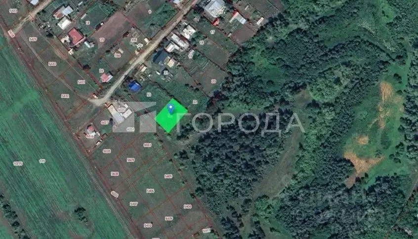 Участок в Алтайский край, Барнаул городской округ, пос. Черницк ул. ... - Фото 1