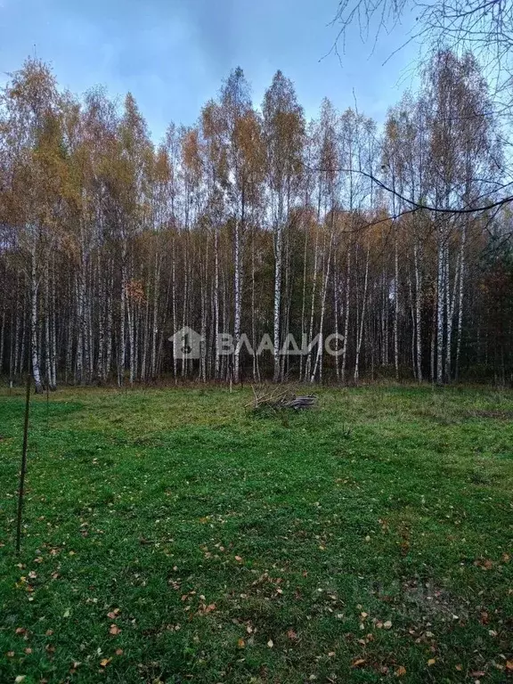 Участок в Владимирская область, Владимир Лунево мкр, ул. Луневская ... - Фото 0