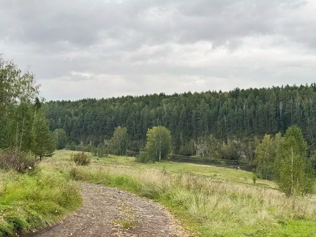 Участок в Свердловская область, Каменский городской округ, д. ... - Фото 1