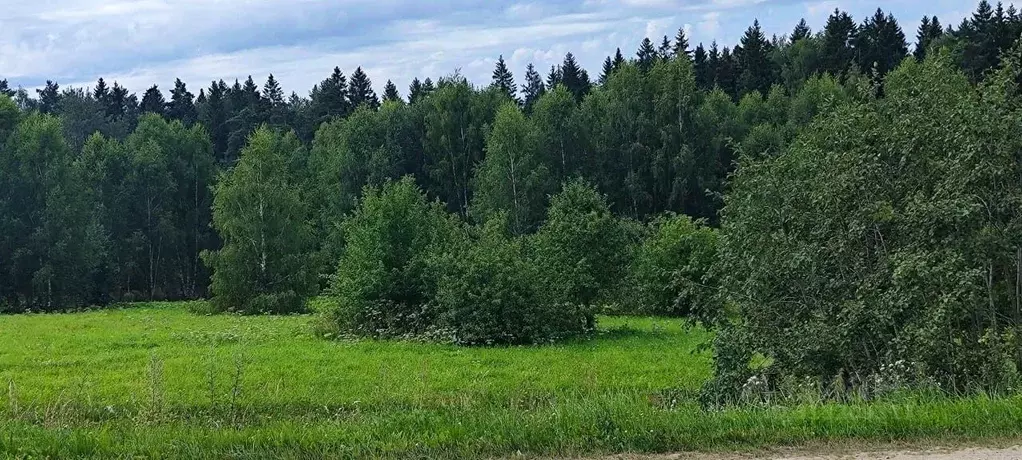 Участок в Московская область, Солнечногорск городской округ, д. Мостки ... - Фото 0