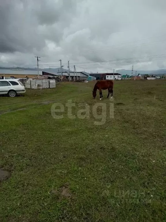 Участок в Алтай, Усть-Коксинский район, с. Усть-Кокса Советская ул. ... - Фото 0