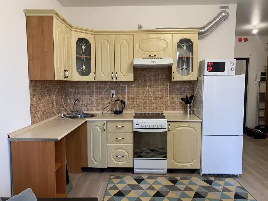 Студия Ленинградская область, Всеволожский район, Заневское городское ... - Фото 1