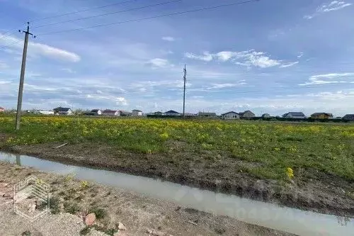 Участок в Новгородская область, Новгородский район, Ермолинское с/пос, ... - Фото 1