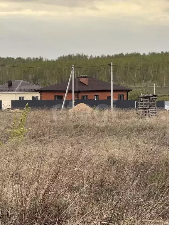 Участок в Тульская область, Тула городской округ, д. Частинские ... - Фото 2