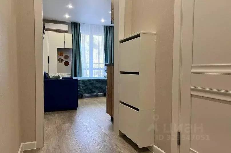 1-к кв. Краснодарский край, Сочи ул. Искры, 88к8 (30.0 м) - Фото 2