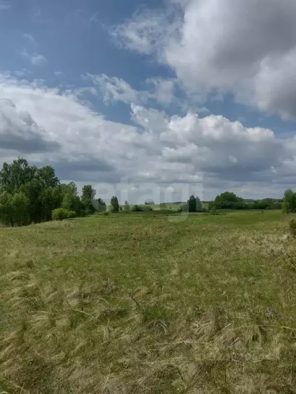 Участок в Красноярский край, Емельяновский муниципальный округ, ... - Фото 1