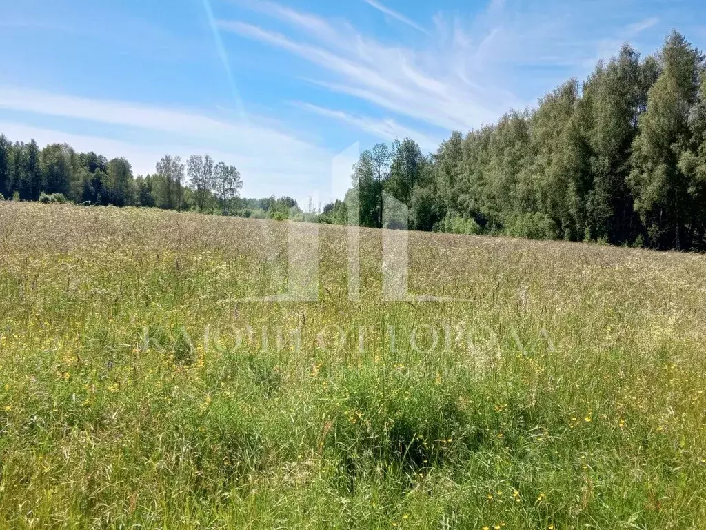 Участок в Псковская область, Гдовский муниципальный округ, д. Ямок  ... - Фото 1