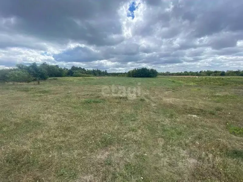 Участок в Белгородская область, Старооскольский городской округ, с. ... - Фото 1