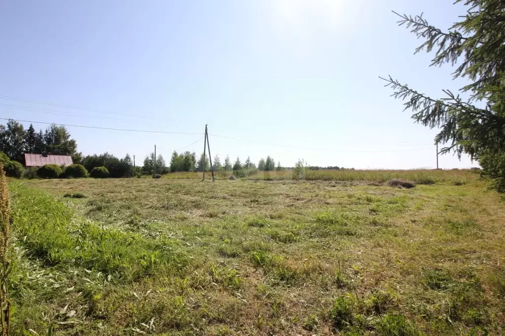 Участок в Вологодская область, Шекснинский муниципальный округ, д. ... - Фото 2