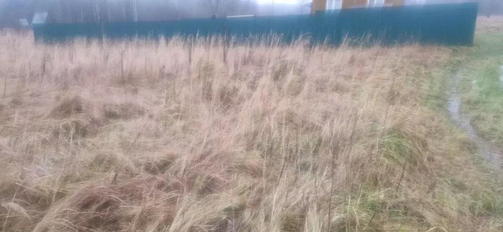 Участок в Московская область, Домодедово городской округ, с. Добрыниха ... - Фото 2