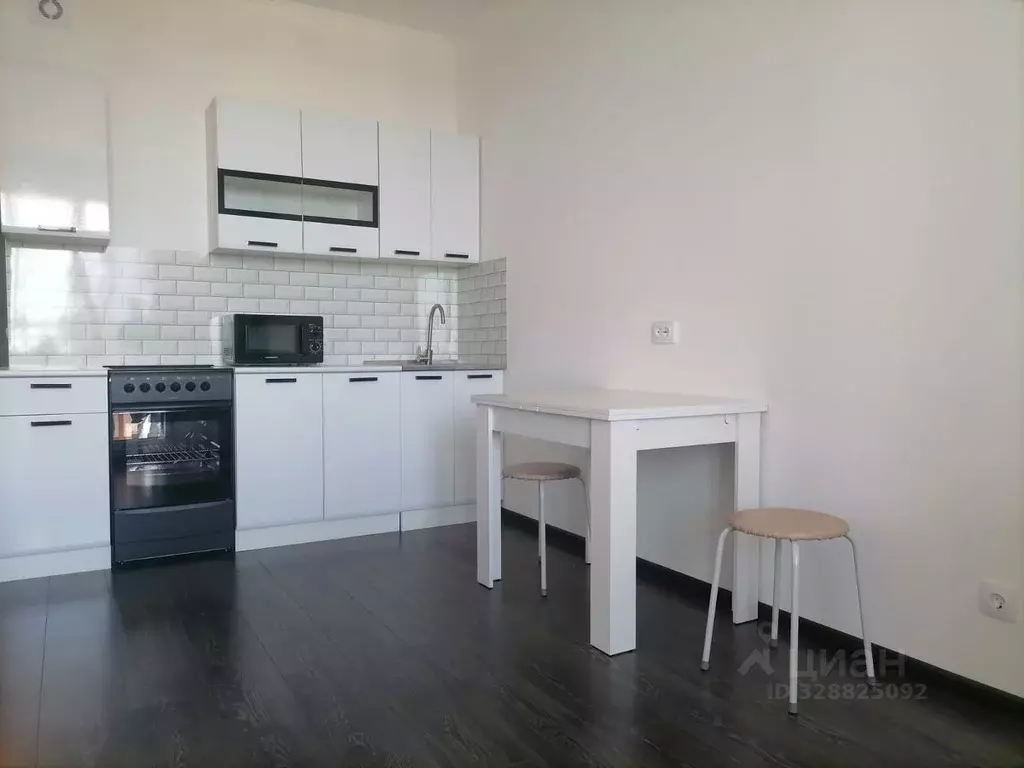 Студия Санкт-Петербург аллея Арцеуловская, 21 (24.3 м) - Фото 1