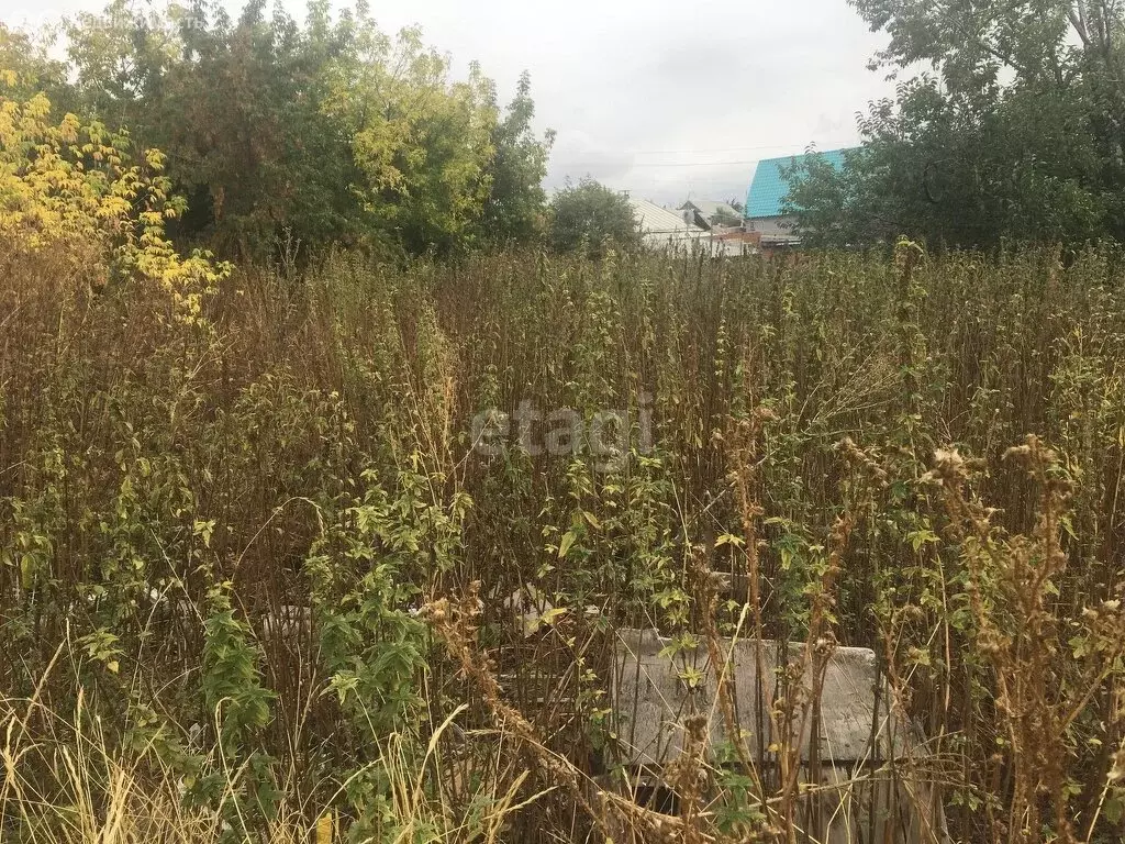 Дом в село Кичигино, улица Каширина (41.1 м) - Фото 2