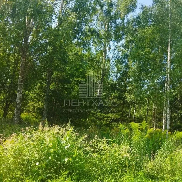 Участок в Владимирская область, Владимир сад Заречье, 83 (10.0 сот.) - Фото 1