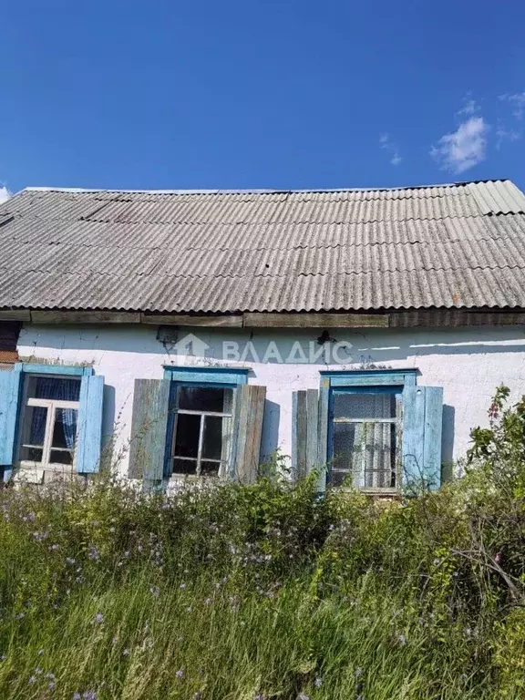 Дом в Забайкальский край, Чита ул. Речная, 13 (50 м) - Фото 1