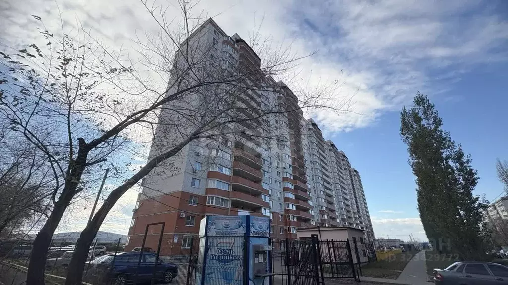 Студия Воронежская область, Воронеж Ростовская ул., 61 (25.0 м) - Фото 1