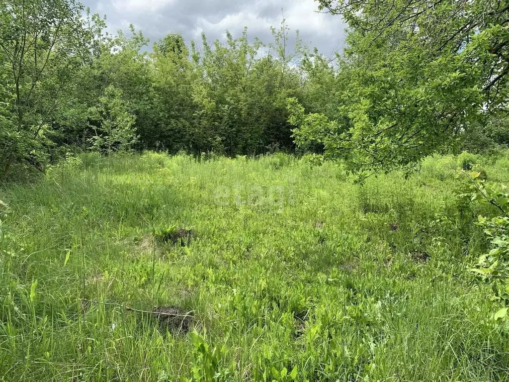 Участок в Мордовия, Саранск Натуралист СНТ,  (24.0 сот.) - Фото 0