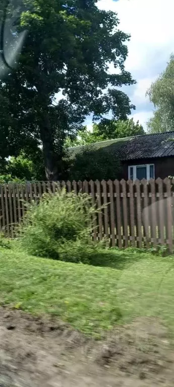 Участок в Ленинградская область, Ломоносовский район, Лопухинское ... - Фото 0