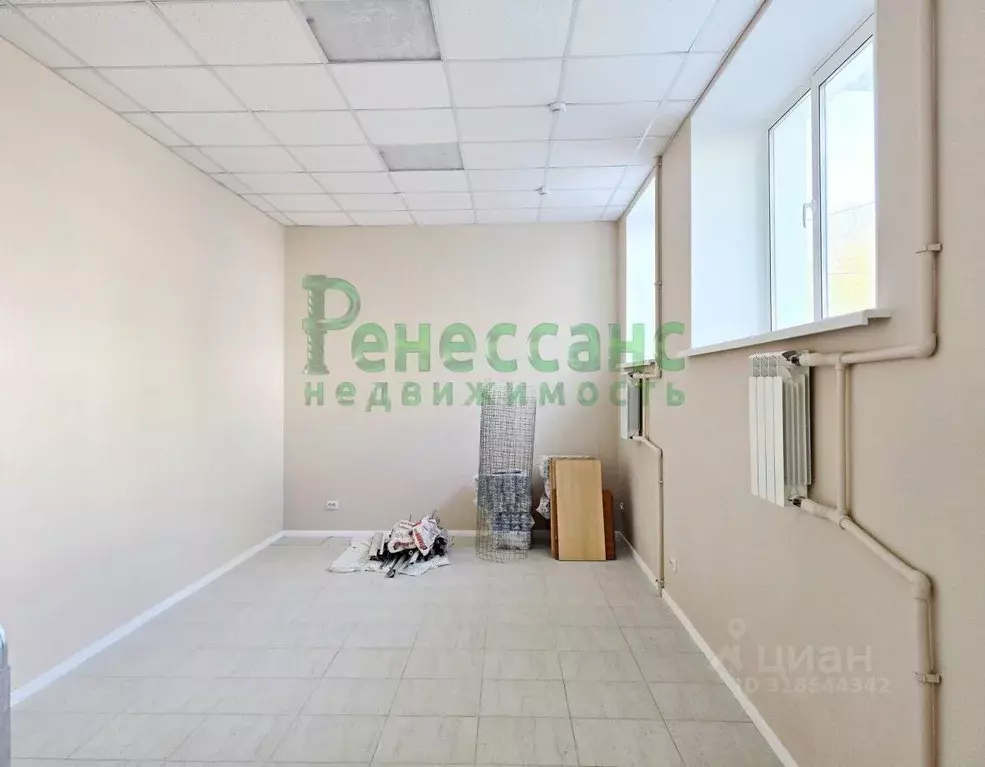 Торговая площадь в Брянская область, Брянск ул. Димитрова, 49 (34 м) - Фото 0