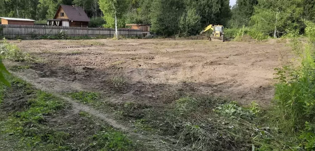 Участок в Новосибирская область, Коченевский район, Березка ... - Фото 1