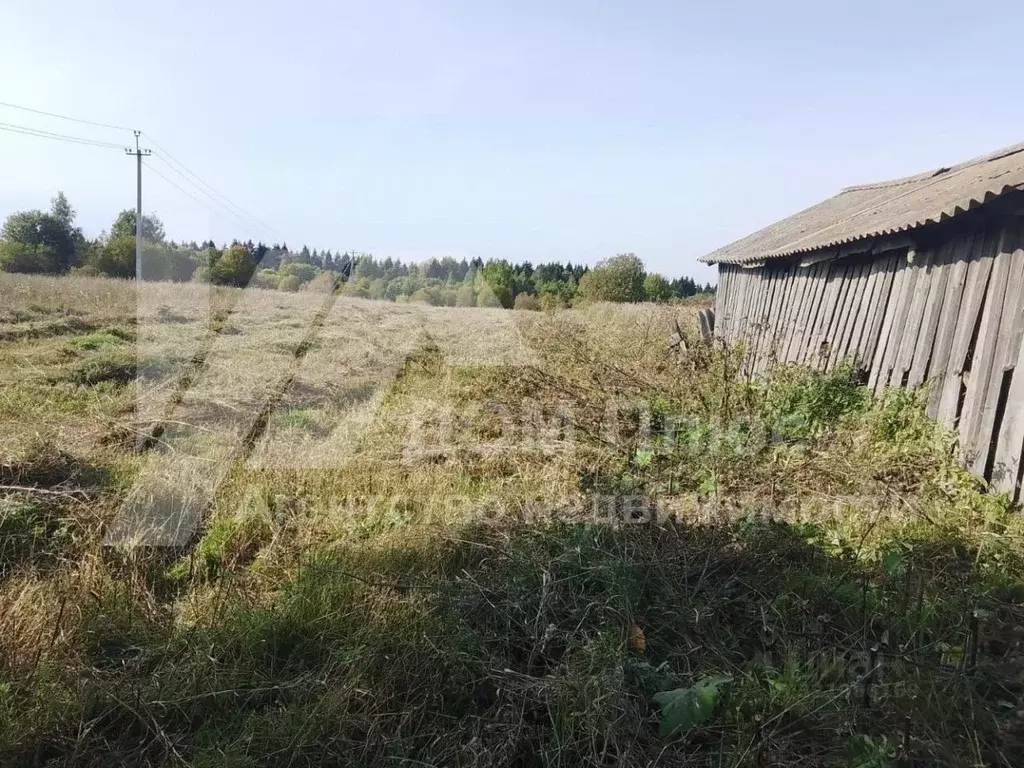 Участок в Вологодская область, Шекснинский муниципальный округ, д. ... - Фото 2